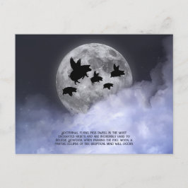 Nachtelijk vliegende varkens briefkaart