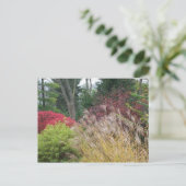 Nachtelijke schoonheid in Ohio Briefkaart (Staand voorkant)