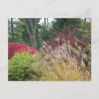 Nachtelijke schoonheid in Ohio Briefkaart