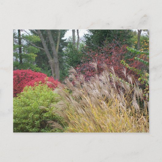 Nachtelijke schoonheid in Ohio Briefkaart (Voorkant)