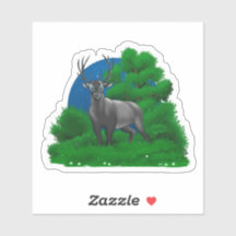 Nachtelijke staande | 