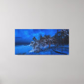 Nachtelijke winterscène met sneeuw bedekte sinnen canvas afdruk (Voorkant)