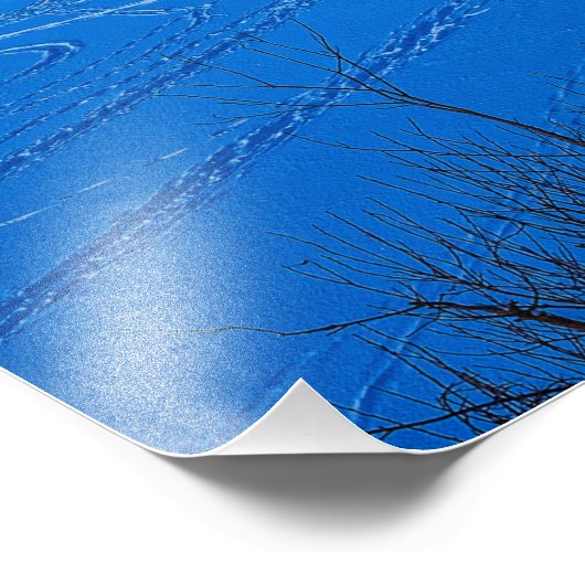 Nachtelijke winterscène met sneeuw bedekte sinnen foto afdruk (Hoek)