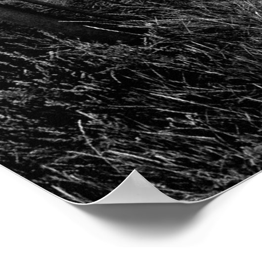 Nachten van Pythias Gate Poster (Hoek)