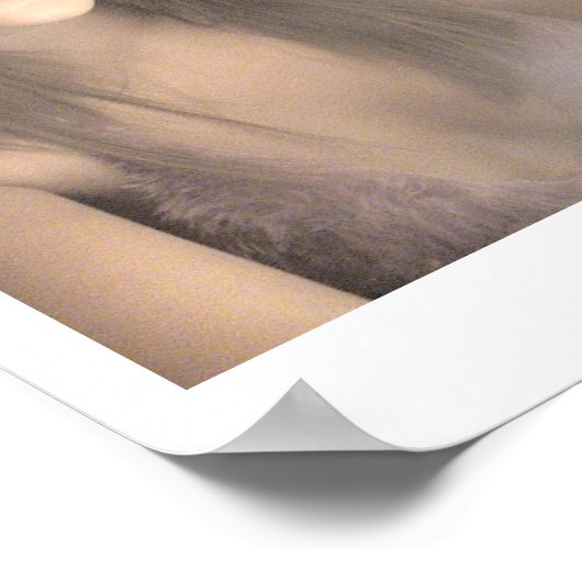 nachtengel poster (Hoek)