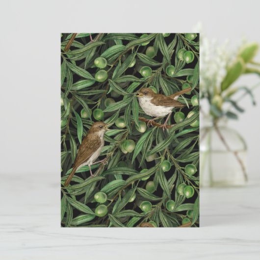 Nachtingales van de olijfboom 3 (Staand voorkant)