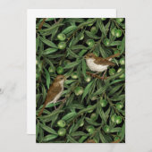 Nachtingales van de olijfboom 3 (Voorkant / Achterkant)