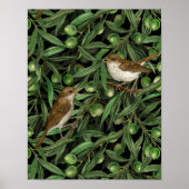 Nachtingales van de olijfboom 3 poster (Voorkant)