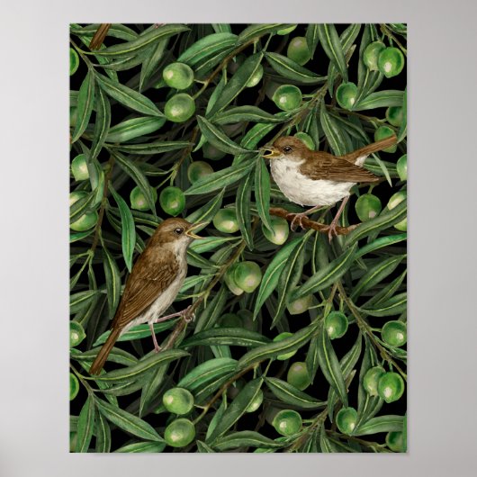 Nachtingales van de olijfboom 3 poster (Voorkant)