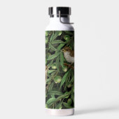 Nachtingales van de olijfboom 3 waterfles (Links)