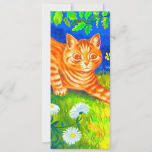 Nachtkat Kaart