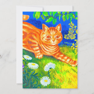 Nachtkat Kaart
