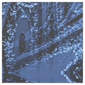 Nachtleven...... Stof (Close Up)