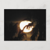 nachtmaan briefkaart (Voorkant)