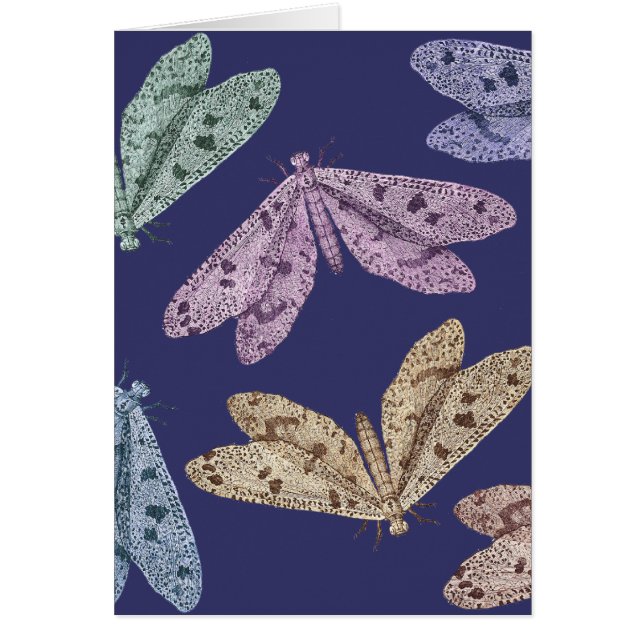 Nachtmaanden in de vlucht van Diderot's Encylopedi (Voorkant)