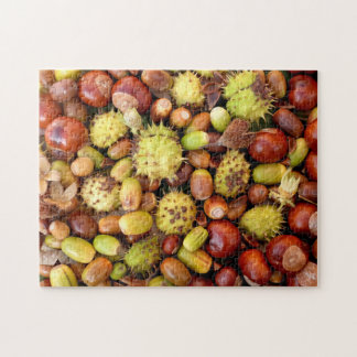 Nachtnoten en conkers legpuzzel