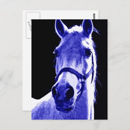 nachtpaard briefkaart (Voorkant / Achterkant)