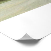 nachtpinguïns poster (Hoek)