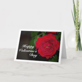 Nachtportret met rode roos kaart