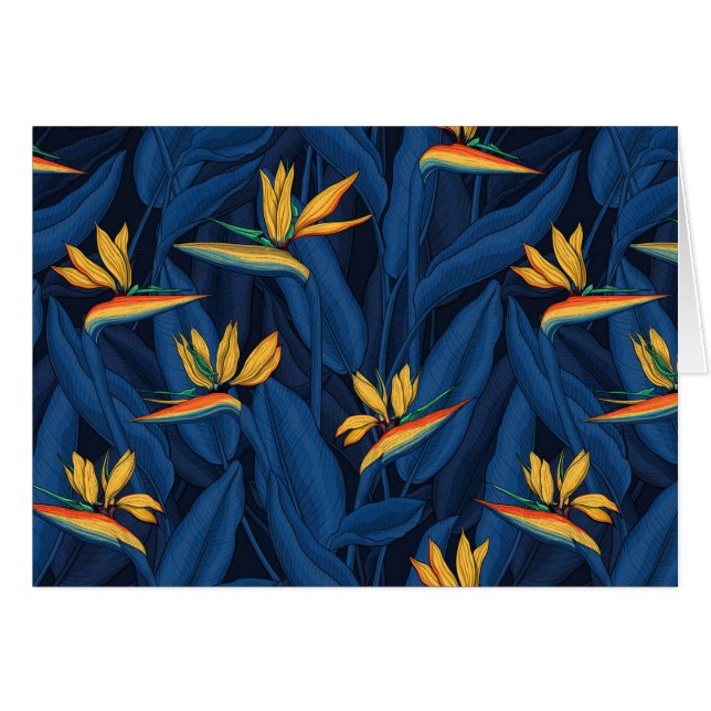 Nachtschmuck paradijs 2 (Voorkant Horizontaal)