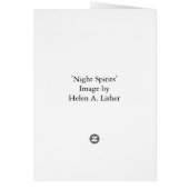 Nachtspiraaltjes (Achterkant)