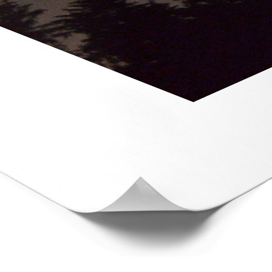 nachtsterren poster (Hoek)