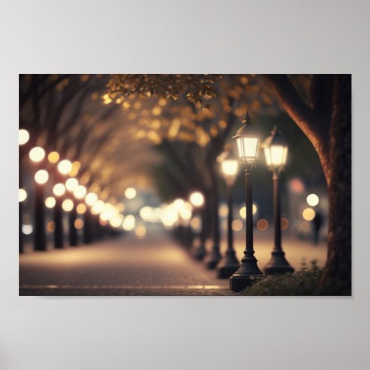Nachttijd in het Park met Bokeh-verlichting Poster (Voorkant)