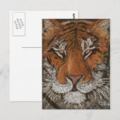 nachttijger briefkaart (Voorkant / Achterkant)