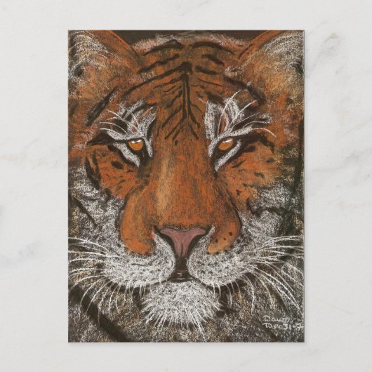 nachttijger briefkaart (Voorkant)