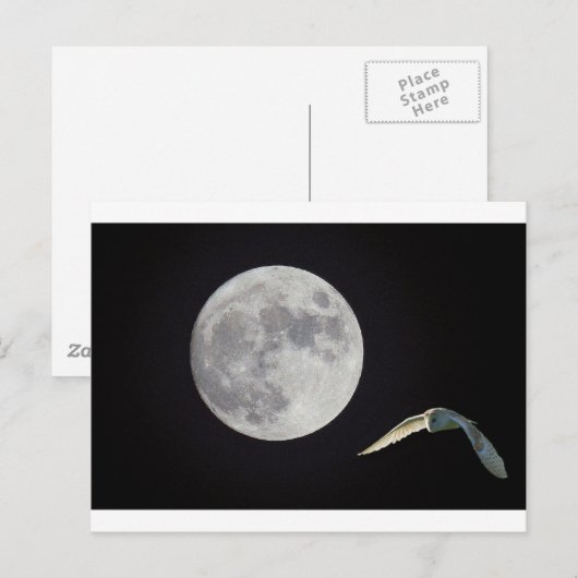 Nachtuil Briefkaart (Voorkant / Achterkant)