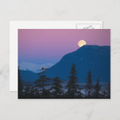 Nachtval in Alaska Briefkaart (Voorkant / Achterkant)