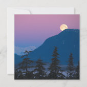 Nachtval in Alaska Kaart (Voorkant)