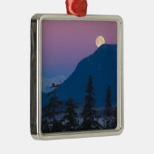 Nachtval in Alaska Metalen Ornament (Rechts)