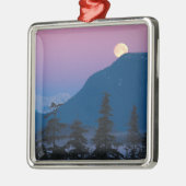 Nachtval in Alaska Metalen Ornament (Links)