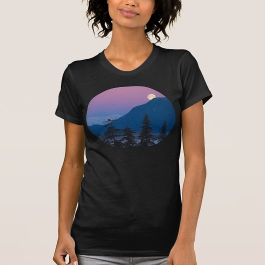 Nachtval in Alaska T-shirt (Voorkant)