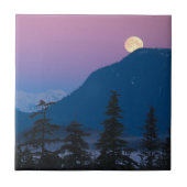 Nachtval in Alaska Tegeltje (Voorkant)