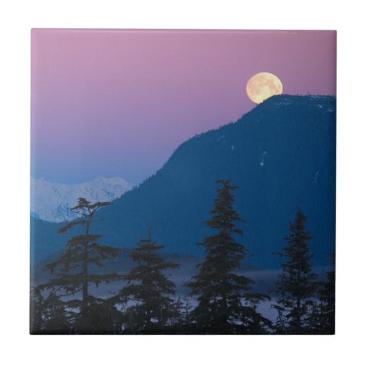 Nachtval in Alaska Tegeltje (Voorkant)