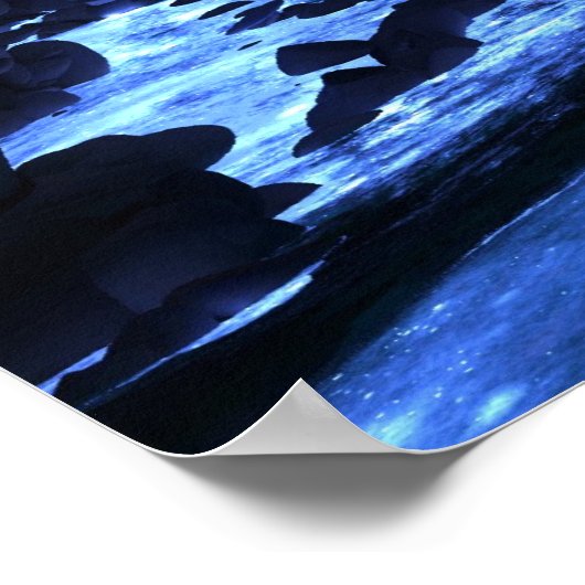 Nachtval Poster (Hoek)