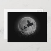 nachtvarken briefkaart (Voorkant / Achterkant)