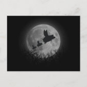 nachtvarken briefkaart (Voorkant)