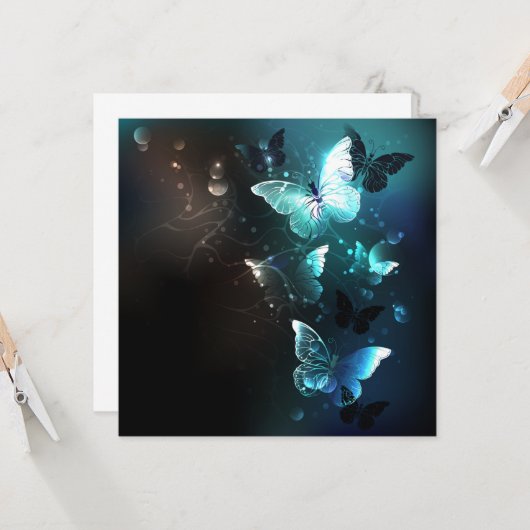 nachtvlinders kaart (Voorkant / Achterkant in situ)