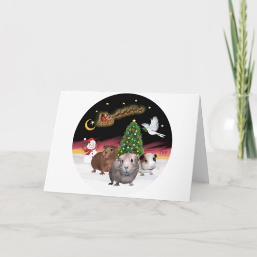 Nachtvlucht - 3 pareltjes feestdagen kaart (Voorkant)