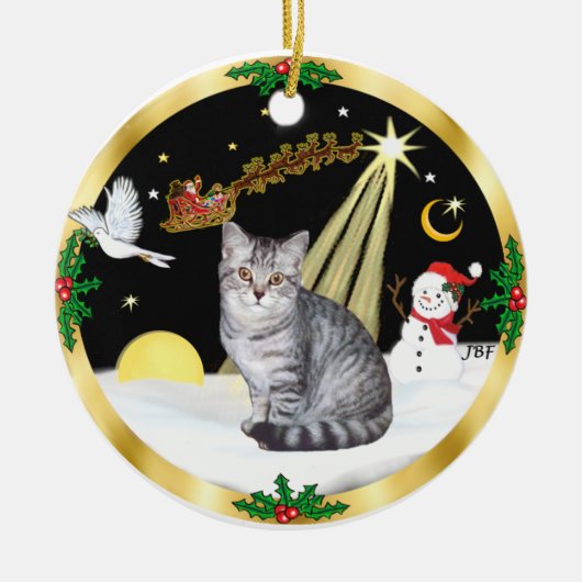 Nachtvlucht (GW) - Zilveren Tabby kat Keramisch Ornament (Voorkant)