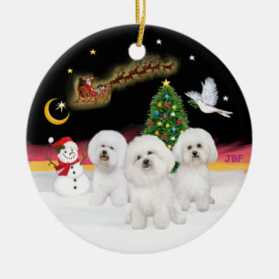 Nachtvlucht - Three Bichon Frise Keramisch Ornament