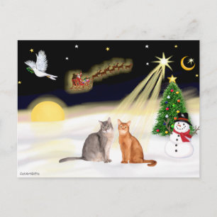 Nachtvlucht - Twee Abessijnse katten Briefkaart