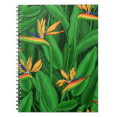 Nachtvogel van de paradijstuin notitieboek (Voorkant)