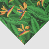 Nachtvogel van de paradijstuin tissuepapier (Detail)