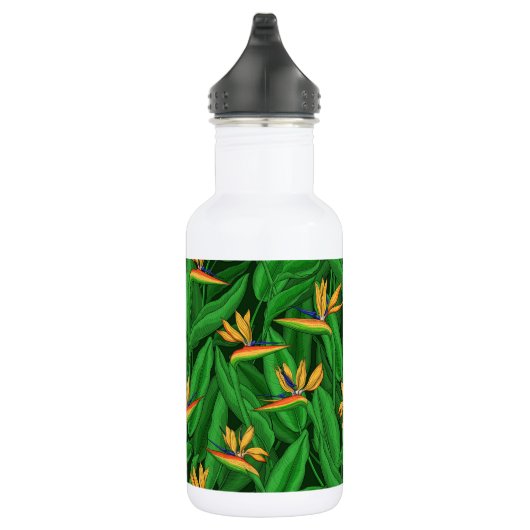 Nachtvogel van de paradijstuin waterfles  (Rechts)