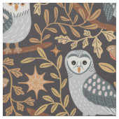Nachtvogels roofvogels uit Spanje Stof (Close Up)