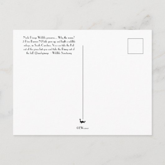 Nacle Pineys Briefkaart (Achterkant)